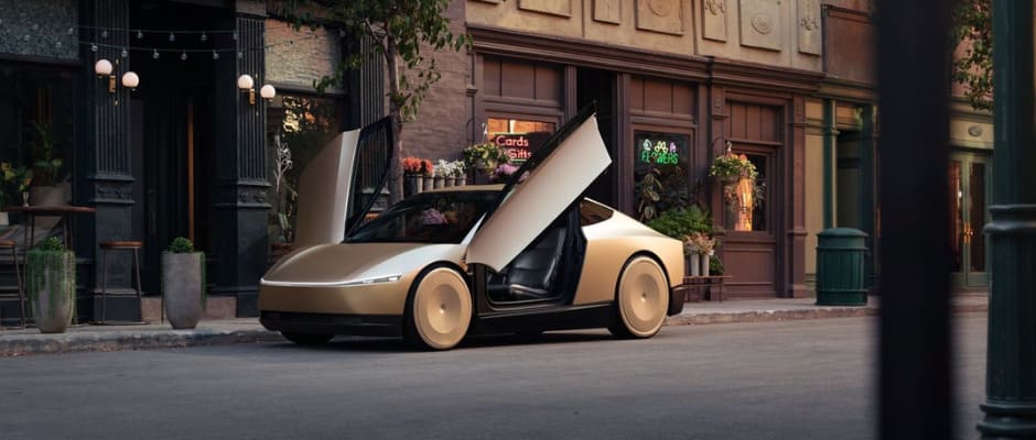 tesla robotaxi
